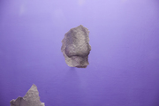 Look in your left ear - thumbnail