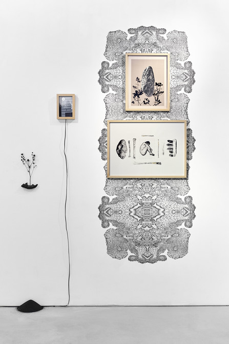 Artefacts (Installation view)