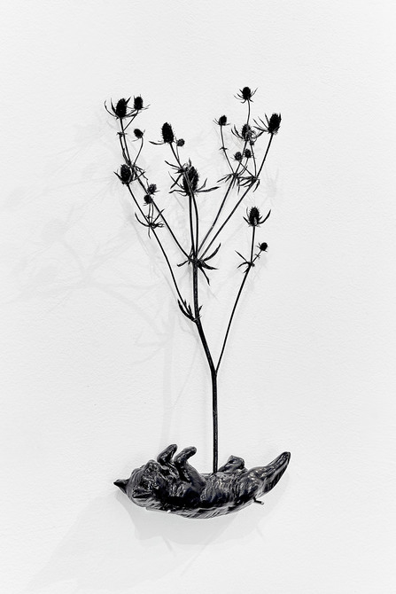 back cat Metamorphose, Installation Detail