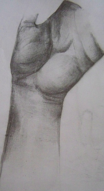 A kézfej anatómiája 1.