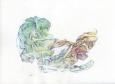 Dying to Grow - thumbnail