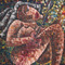 The Dying "She" - thumbnail