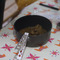 Doityourself 2