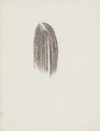 I. 2014 (charcoal on paper) / (uhlík na papieri) - thumbnail