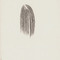 I. 2014 (charcoal on paper) / (uhlík na papieri) - thumbnail
