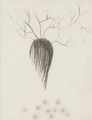 II. 2014 (charcoal on paper) / (uhlík na papieri) - thumbnail
