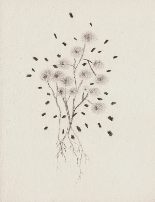 III. 2014 (charcoal on paper) / (uhlík na papieri)