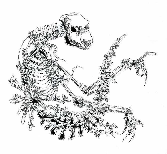 Mermaid