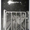 der bestirnte Himmel über mir/ the starry heavens above me - thumbnail