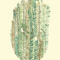 leaves  - thumbnail