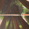 Sequoia sempervirens - thumbnail
