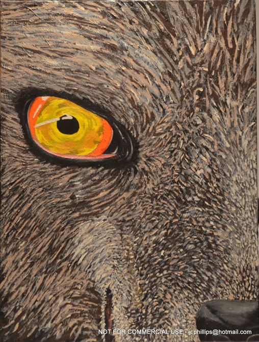 Stare of the Wolf