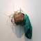 Dream catcher III. - thumbnail