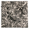 untitled - thumbnail