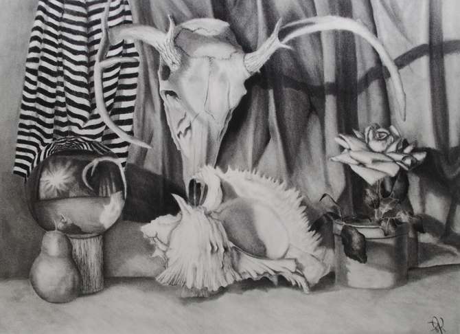 Deer Skull Still-life