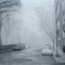 Foggy Morning - thumbnail