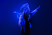 The Crowd - thumbnail