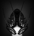 Under Protection - thumbnail