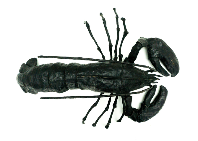 Black basterd
