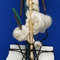 Detail16