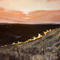 My New Fields - thumbnail