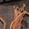 Dsc 8823