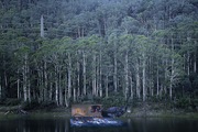 Installation View of Mardy and the milk delivery night in Bogong - thumbnail