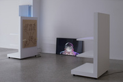"CLUB OF OPPORTUNITIES Ep. 3: My name is Red Herring", Fotograf Gallery, Prague - thumbnail
