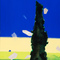 Monolith - thumbnail