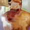 Orpheus - thumbnail