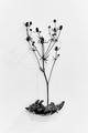 back cat Metamorphose, Installation Detail - thumbnail