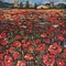 Poppies - thumbnail